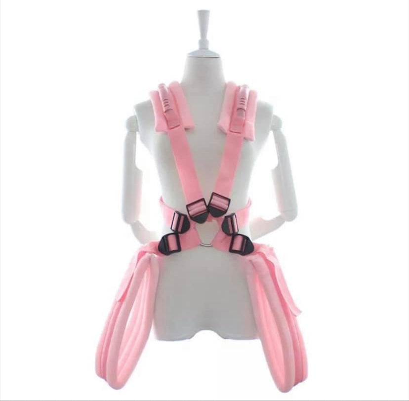 Body Harness